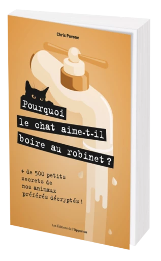 POURQUOI LE CHAT AIME-T-IL BOIRE AU ROBINET ? - Chris PAVONE - Les Éditions de l'Opportun