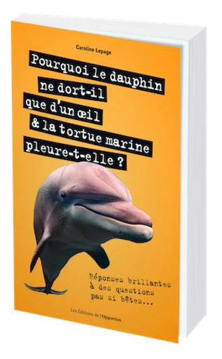 Pourquoi le dauphin ne dort-il que d'un oeil & la tortue marine pleure-t-elle ? - Caroline LEPAGE - Les Éditions de l'Opportun