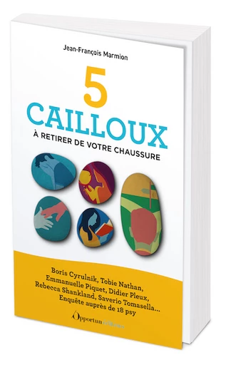 5 cailloux à retirer de votre chaussure - Jean-François Marmion - Les Éditions de l'Opportun