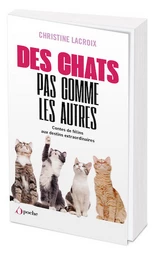 Des chats pas comme les autres