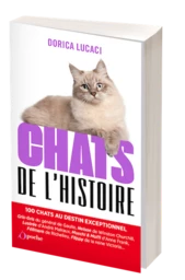 Chats de l'histoire