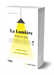 La Lumière n'attire pas les moustiques