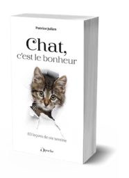 Chat, c'est le bonheur !